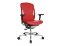 Body-Balance 100 (Кресла для руководителей, Офисные кресла, Офисная мебель)