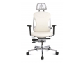 Body-Balance 110 (Кресла для руководителей, Офисные кресла, Офисная мебель)