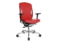 Body-Balance 100, Кресла для руководителей, Офисные кресла, Офисная мебель